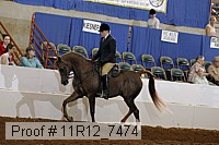 11r12_7474 proof
