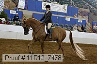 11r12_7478 proof