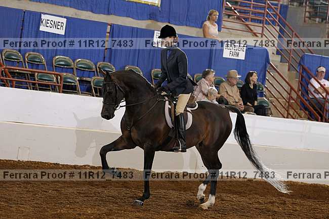 Proof 11r12_7483