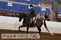 11r12_7483 proof