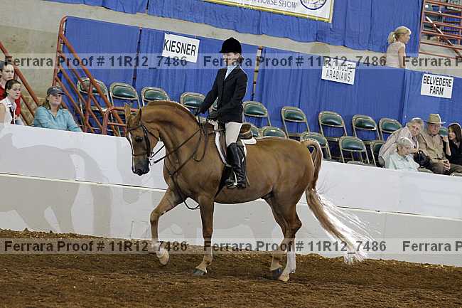 Proof 11r12_7486
