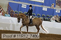 11r12_7486 proof