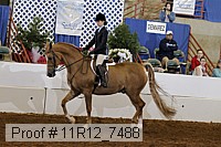 11r12_7488 proof