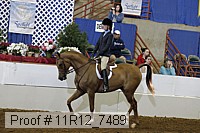 11r12_7489 proof