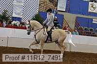 11r12_7491 proof