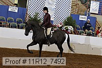 11r12_7492 proof
