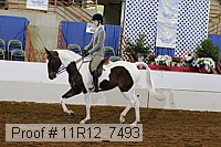 11r12_7493 proof