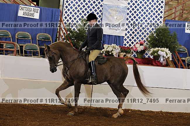 Proof 11r12_7495