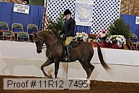11r12_7495 proof