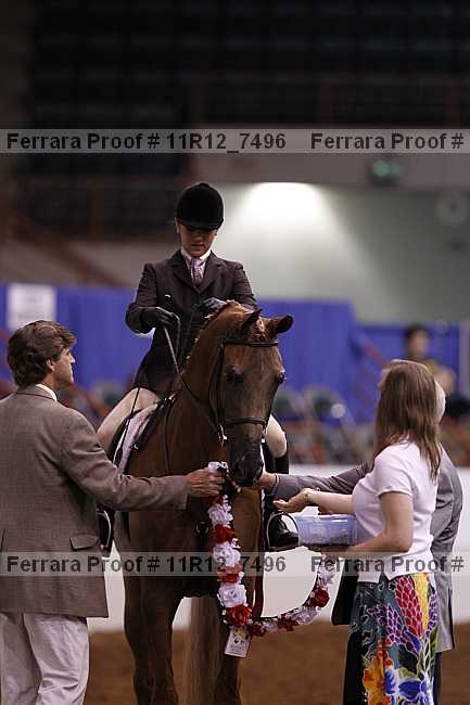 Proof 11r12_7496