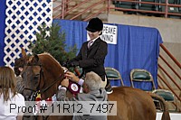 11r12_7497 proof
