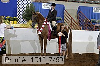 11r12_7499 proof