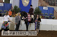 11r12_7510 proof