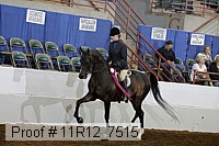 11r12_7515 proof
