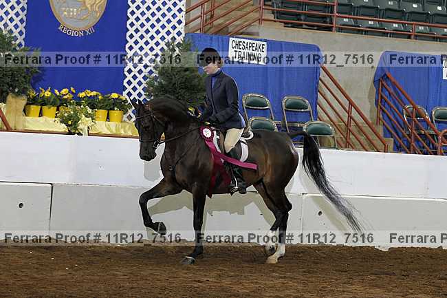 Proof 11r12_7516