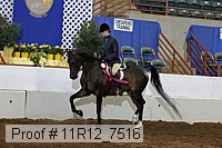 11r12_7516 proof
