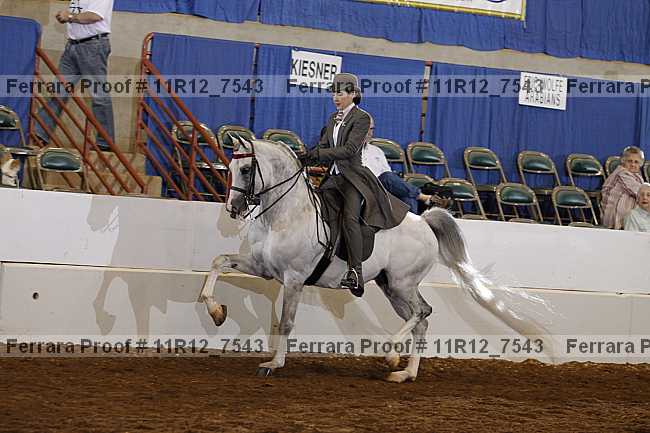 Proof 11r12_7543