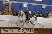 11r12_7543 proof