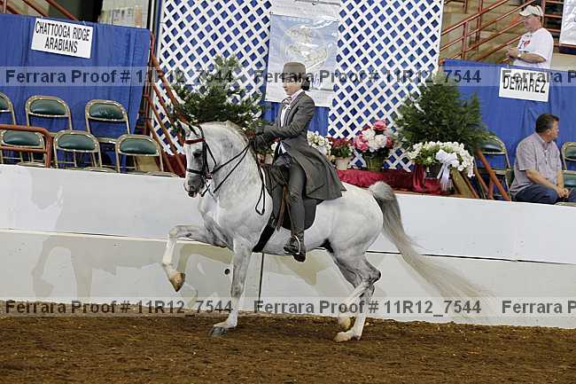 Proof 11r12_7544