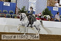 11r12_7544 proof