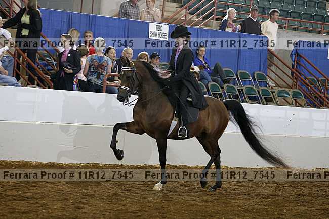 Proof 11r12_7545