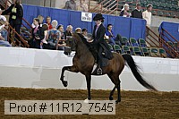 11r12_7545 proof