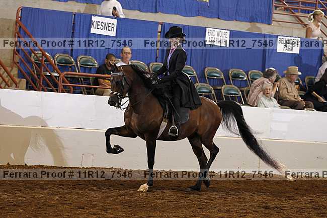 Proof 11r12_7546