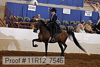 11r12_7546 proof