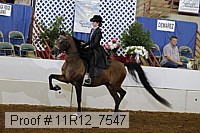 11r12_7547 proof