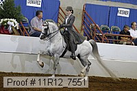 11r12_7551 proof