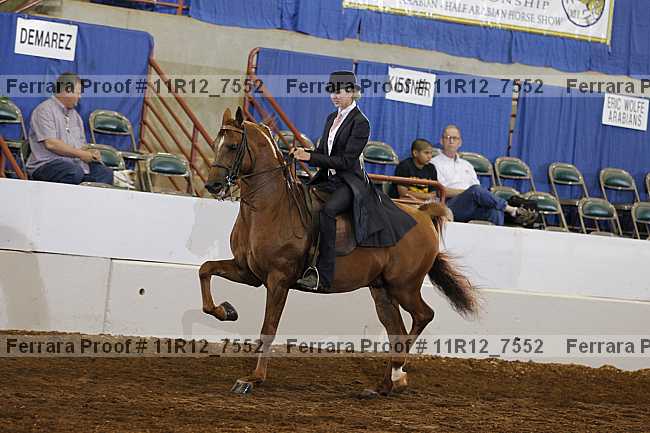 Proof 11r12_7552