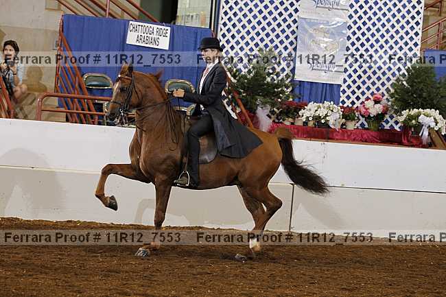 Proof 11r12_7553