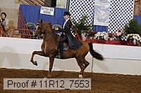 11r12_7553 proof