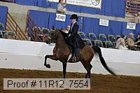 11r12_7554 proof