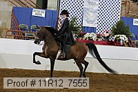 11r12_7555 proof