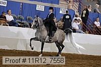 11r12_7558 proof