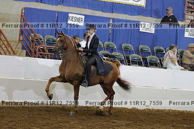 Proof 11r12_7559
