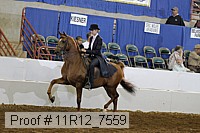 11r12_7559 proof