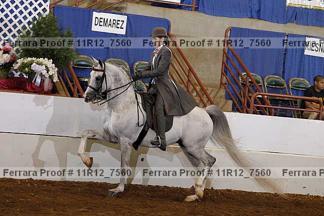 Proof 11r12_7560