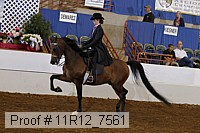 11r12_7561 proof