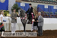 11r12_7562 proof