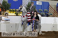 11r12_7568 proof