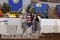 11r12_7569 proof