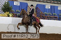 11r12_7573 proof