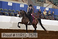 11r12_7576 proof