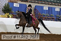 11r12_7577 proof