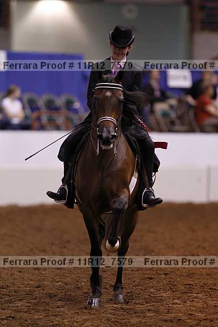 Proof 11r12_7579