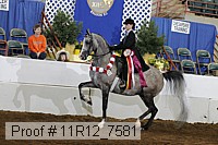 11r12_7581 proof