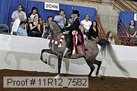 11r12_7582 proof