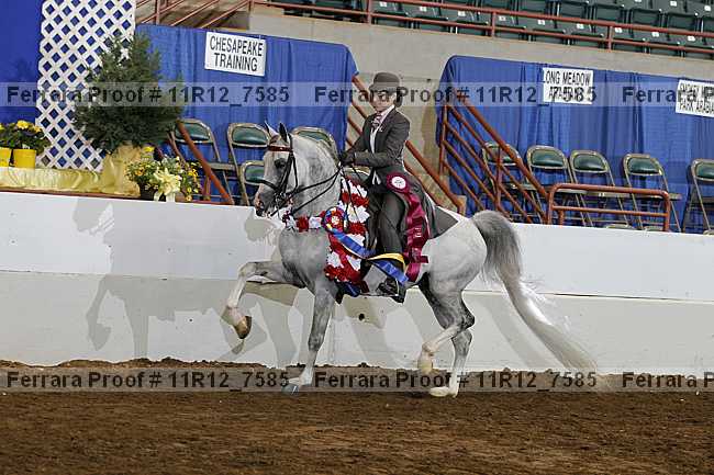 Proof 11r12_7585